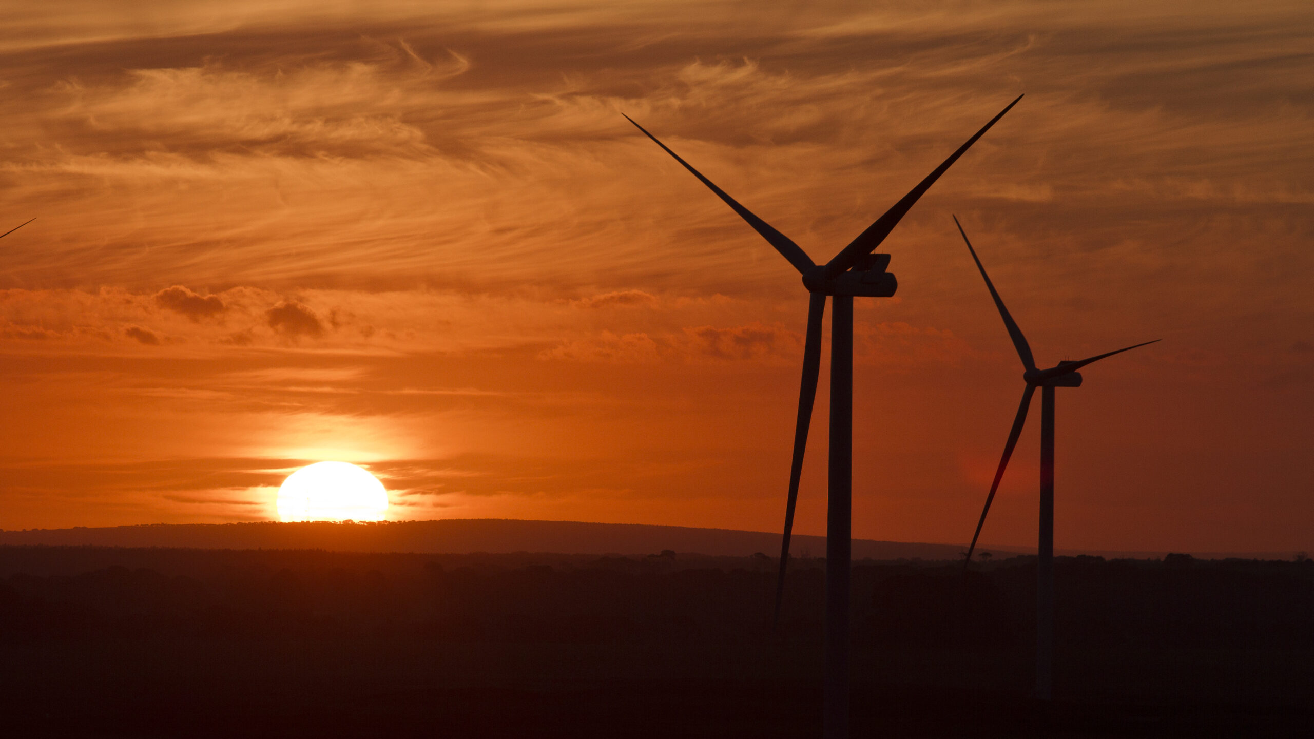 Wind farm